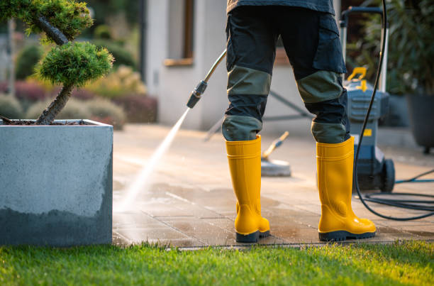 Best Pressure Washing Near Me  in Lake Sherwood, CA